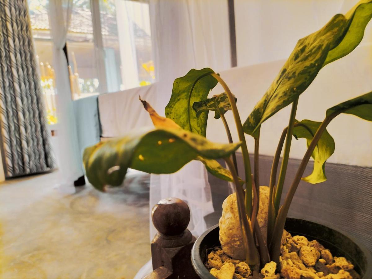 坦加拉 Secret Swell酒店 外观 照片